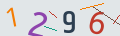 verifycode
